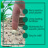 Bloom Root Tabs Aquarium Plant Supplement | Fish Tank Root Tabs (20 Pack)...