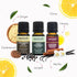 Fragrance Essential Oil Blend Gift Set (Holiday Set) 3 x 10ml / 3 x 0.34fl.oz...