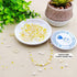 HEOCAKR Beads for Jewelry Making, 1200pcs Golden Series Acrylic Craft Beads for Necklace Earrings Bracelet Making Kit, Including Star, Moon, Pearl...