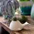 Fred 5229116 Fancy Ceramic Mini Air Plant/Succulent Holder, regular, Whale...