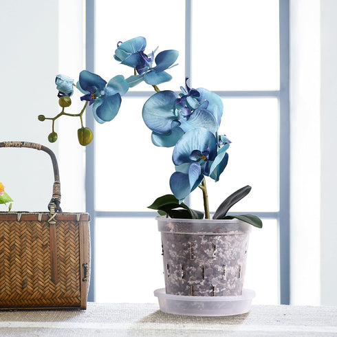 TRUEDAYS 4 Pack Orchid Pot with Saucers, 6 Inch Clear Orchid Pots with Holes, Plastic Planter with Trays, Breathable Slotted Orchids Planters for ...