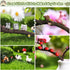172Pcs Miniature Fairy Garden Accessories including 100Pcs Fixed Pins, modacraft Fairy Garden Kit Fairy House Animal Figurines Mini Landscape for ...