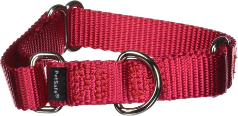 PetSafe Adjustable Martingale Collar - Only Tightens When Dogs Pull, Prevents Slipping Out - Helps with Strong Pullers, Increased Control - Altern...