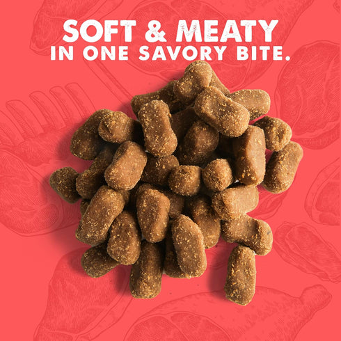 Cloud Star Wag More Bark Less Meat Cravers Soft Chews Dog Treats, Beef 5 oz. Bag...