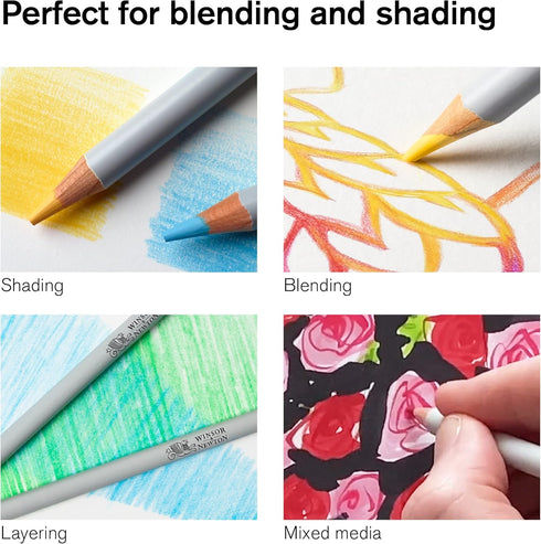 Winsor & Newton Studio Collection Artist Pencils, Color Pencils, Set of 12...
