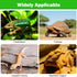 Bearded Dragon Tank Accessories, Non-Adhesive Reptile Carpet Bedding Substrate for Terrarium, Reptile Mat Terrarium Liner Tank Flooring for Leopar...
