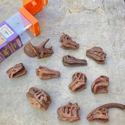 Safari Ltd Dinosaur Skulls TOOB - 11 Mini Figurines Including Velociraptor, Brachiosaurus, Oviraptor, Triceratops, Tyrannosaurus Rex and More - Ed...