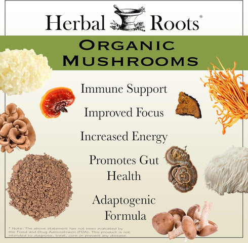 Herbal Roots Organic 8 Mushroom Blend Supplement Capsules - 100% Fruiting Body Extracts - Wellness and Immunity - 60 Vegan Capsules...