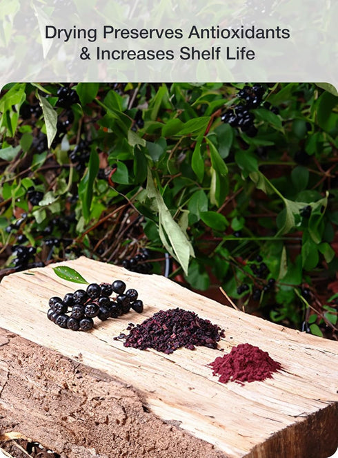 Organic Aronia Berry 4:1 Extract Chokeberry Powder (4 Ounce)...