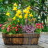 6 Inch Galvanized Garden Landscape Staples Stakes, 25 50 100 PCS Anti-Rust Garden Staples U-Shaped Landscape Pins for Secure Lawn Fabric (25, 6 in...