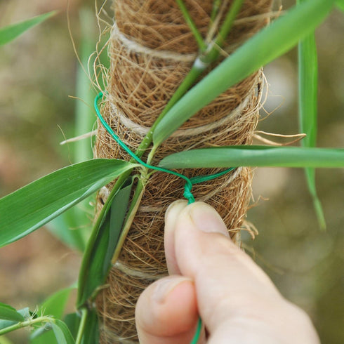 500 Feet (152M) Twist Ties with Cutter, Plastic Multi-purpose Reusable Twist Wire for Gardening, Home, Office...