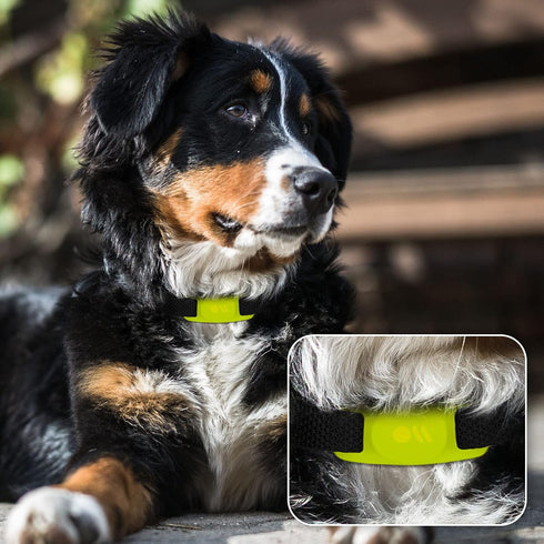 Case-Mate Airtag Dog Collar Holder - Water Resistant Airtag Holder Dog Tag - Lightweight, Protective Airtag Case for Dog Collar - Pet Collar Airta...