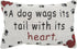 A Dog Wags Its Tail With Its Heart Throw Pillow - USA Made - 12-1/2 by 8-1/2-Inch...