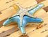 Alilang Crystal Pearlescent Blue Green Dancin Sea Starfish Pin Brooch...