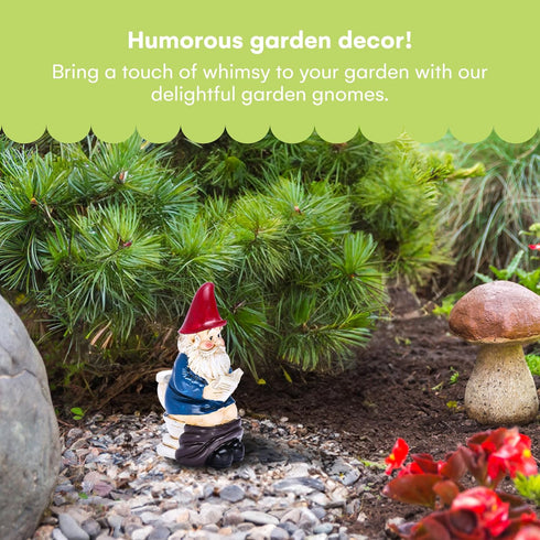 Noa Store Funny Garden Gnomes on Toilet - Funky Yard Art - Gnomes Outdoor Decorations - Naughty Garden Gnome Reading while Doing his Business Lawn...