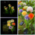 Enchanted Solar Garden Lights Innovative Upgraded for Outside Waterproof,Outdoor Light Yard Patio Decoration w Flexibility Wire, Dandelion Light f...