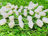 1 Strand White Druzy 9 Pcs Beads Size 12x6mm Marquoise Shape Cut Smooth Beads for Jewellery Making, Beading & Craft Supplies KCRAFTS-RK_k82...