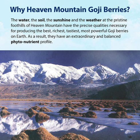 Dragon Herbs Heaven Mountain Goji Berries 8 oz. (227g), moist, fight stress, gain strength, eye vision tonic, all natural ingredients...