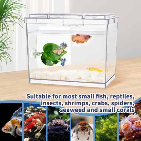Mini Betta Fish Tank, Small Fish Bowl for Temporary Space, 0.2 Gallon Stackable Cube Tank with Betta Leaf and Gravels for Small Fish, Insect, Shri...