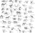 Aleks Melnyk No.43 Metal Stencils, Small Animals, Woodland, Pets, Cat, Dog, Fox, Lizard, Sea Ocean Animals, Kit 3 PCS, Templates for Wood Burning,...