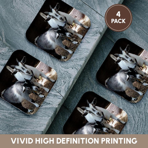 3dRose LLC Pygmy Goat Coaster, Soft, Set of 4...