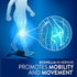 Nervive Advanced Nerve Relief + Mobility, with Alpha Lipoic Acid to Help Reduce Nerve Aches, Weakness, & Discomfort*† and Boswellia to Promote Mob...