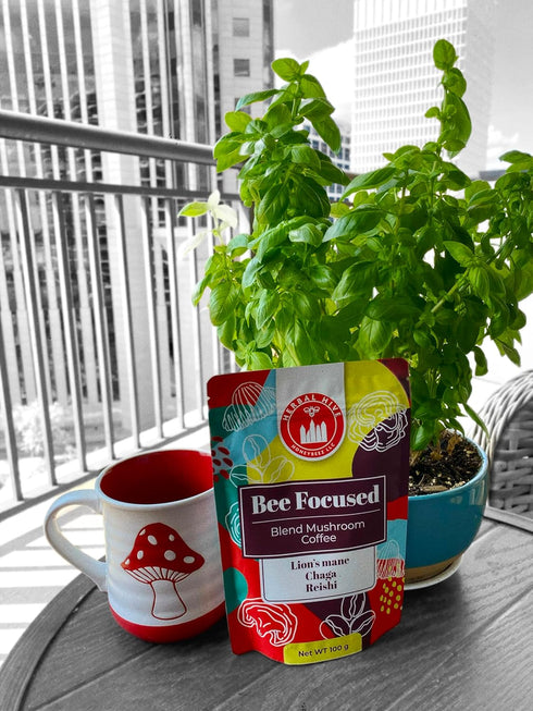 Mushroom Coffee by Herbal Hive Bee Focused Includes Adaptogens Reishi, Lion's Mane, and Chaga Superfood Low Acid Instant 30 Servings (3.5 oz, Dark...