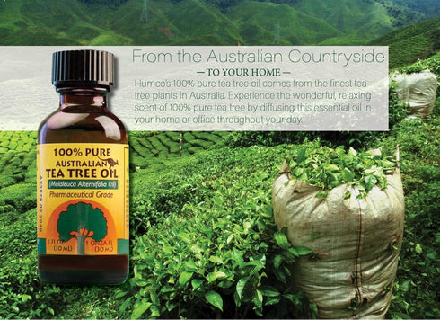Humco 481791001 100% Pure Australian Tea Tree Oil...