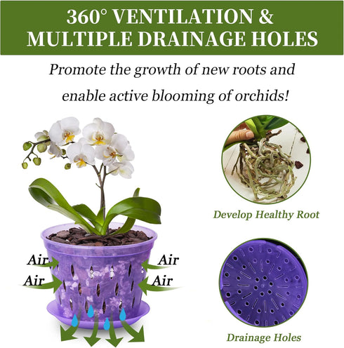 5 Inch 6 Pack Orchid Pot with Holes and Saucers Clear Orchid Pot?Purple Amethyst?...