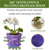 5 Inch 6 Pack Orchid Pot with Holes and Saucers Clear Orchid Pot?Purple Amethyst?...