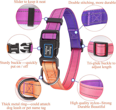 Reflective Dog Collar and Leash Set, Purple Martingale Dog Collar and Leash for Medium Dogs, Adjustable Durable Nylon Pet Collars with Leashes for...