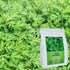FullChea - 100% Pure Natural Dried Mugwort Herb Loose Leaf - 4oz/114g - Superior Dried Mugwort Tea - Sulfur-free - Non-GMO - Caffeine-free - Help ...