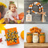 Fall Ribbons 3/8 Inch x 100Yards (20 Rolls x 5Yards), Fall Grosgrain Ribbons for Gift Wrapping, Thanksgiving Pumpkin Ribbons for Crafts Bows Fall ...