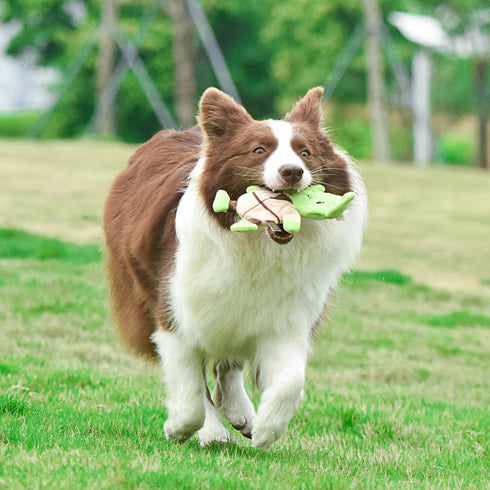 Star Wars for Pets Dog Toy Yoda 9 Inch Plush Flattie Dog Toy | Medium Yoda Dog Toy for All Dogs and Every Day Play to Add to Dog Toy Bin| Flat Dog...