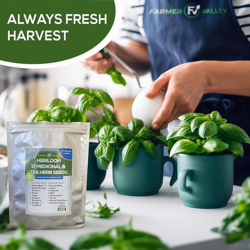 Medicinal and Tea Herb Seeds Collection - Over 4,500 Heirloom and Non GMO Garden Seeds for Planting Indoor, Outdoor & Hydroponic - includes Basil,...