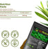 Gotu Kola 10:1 Extract Powder (8 oz), Centella Asiatica | Gluten Free and Non-GMO | Ayurvedic Herbal Supplement...