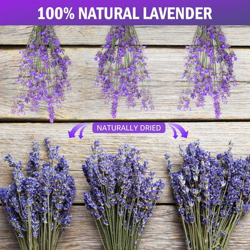 Timoo Dried Lavender Bundles 100 Natural Dried Lavender Flowers for Home Decoration, Photo Props, Home Fragrance, 2 Bundles Pack...