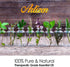 Artizen 4oz Oils - Rosemary Essential Oil - 4 Fluid Ounces...