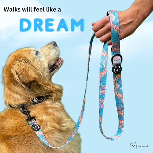 ShawnCo Dream Walk Dog Leash- Premium, Nylon Pet Leash with Soft Neoprene Handle for Small, Medium and Large Dogs (Sunset Orange, Medium/Large)...