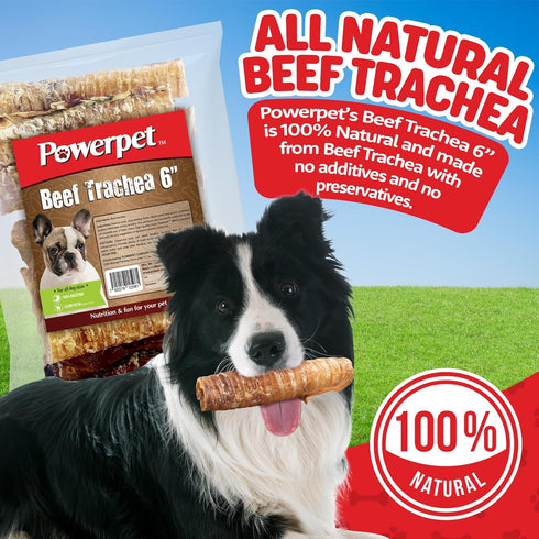 Beef Trachea Dog Chew - 100% All Natural & Highly Digestible - Low Fat, Protein-Rich Treat - Ideal for All Breed Sizes - Healthy, Tasty, and Long-...