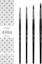 ARTEGRIA Watercolor Brush Set, 4 Professional Pointed Round Soft Synthetic Squirrel Paint Brushes, Sizes # 2, 4, 6, 8...