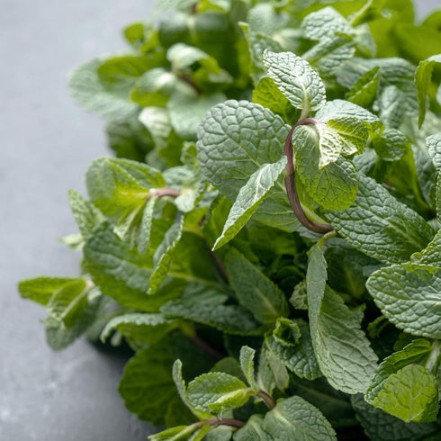 Unpretentious Peppermint Leaf, 8 oz, Cut & Sifted, Refreshing, Cooking & Baking...
