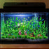 Green Fish Tank Decor Aquarium Plants, 25pcs Fish Tank Decorations Plants, Fish Tank Accessories, Aquarium Decor Artificial Plants, Small to Large...