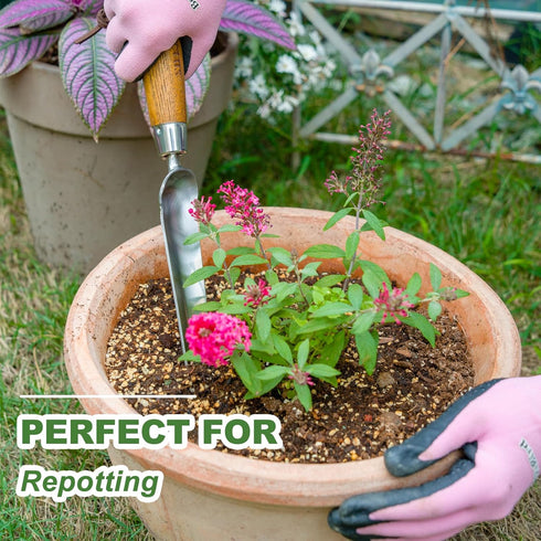 Seeding Widger, Stainless Steel Garden Planting Trowel for Repotting, Long and Narrow Widger for Weeding from Tight Areas, Hand Transplanter with ...