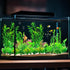 30pcs Fish Tank Accessories Aquarium Decorations Green Plants, Green Fish Tank Decorations Plant, Fish Tank Decor, Aquarium Decor Plastic Plants...
