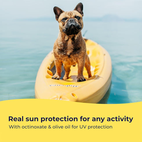 Dog Sunscreen - SPF 30+ With Skin Moisturizing Vitamin E and Olive Oil - No Zinc Oxide Safe for All Dogs and Cats - Dog Beach Accessories, Dog Cam...