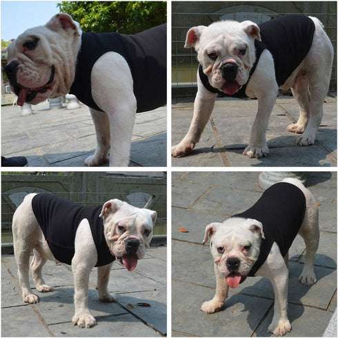 Lovelonglong 2019 Summer Pet Clothing, Dog Clothes Blank T-Shirts Ribbed Tanks Top Thread Vests for Bulldog Pit Bull Dogs 100% Cotton Black XXL...