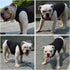 Lovelonglong 2019 Summer Pet Clothing, Dog Clothes Blank T-Shirts Ribbed Tanks Top Thread Vests for Bulldog Pit Bull Dogs 100% Cotton Black XXL...