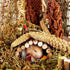 Natural Hamster Bedding Edible Flowers Herbs Sprays for Edible Grain Habitat Enclosure Decor Hamster Chews for Dwarf Syrian Gerbils Mice Mouse Rat...