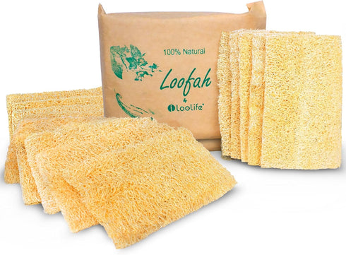 Natural Loofah Kitchen Sponge (XL - 10 Pack) - Natural Sponges for Dishes - Eco Friendly Sponges - Compostable Sponge - Biodegradable Sponges Kitc...